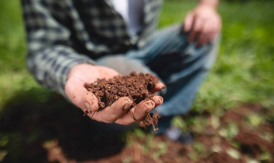 Ziemia ogrodowa – właściwości, rodzaje i zastosowanie w przydomowym ogrodzie