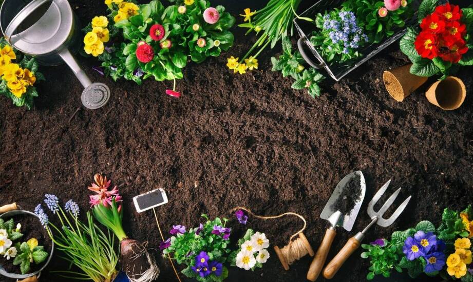Ziemia ogrodowa – kluczowe właściwości i praktyczne zastosowania w ogrodzie