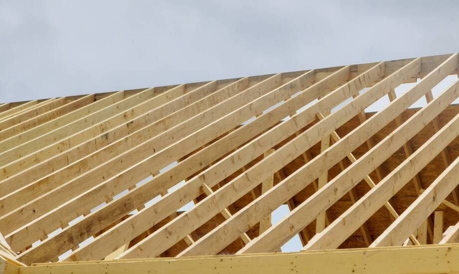 Asenizacja – na czym polega i kiedy warto skorzystać z tej usługi?