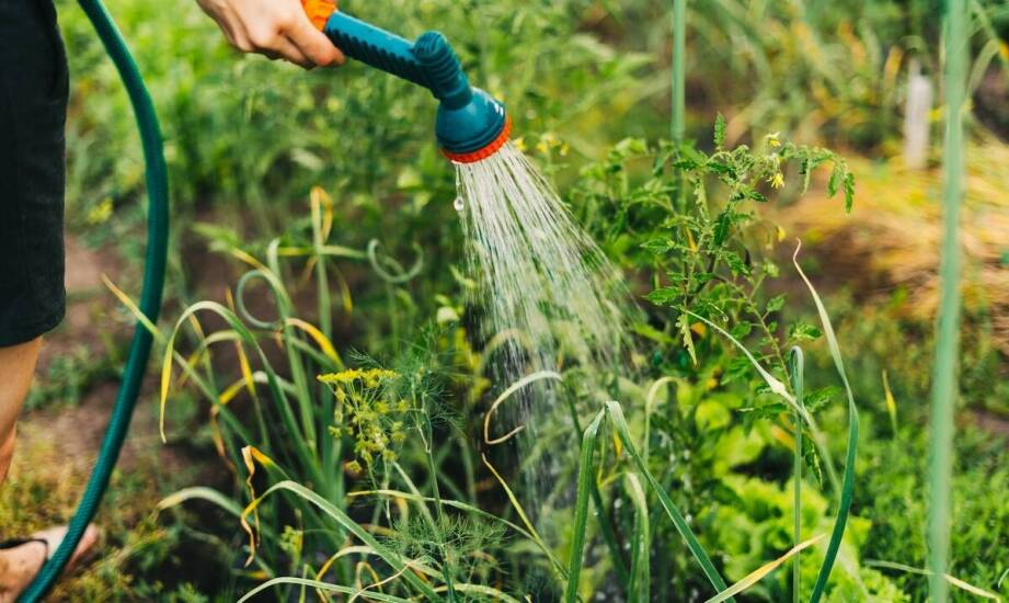 Najlepsze sposoby na efektywne nawadnianie ogrodów i terenów zielonych
