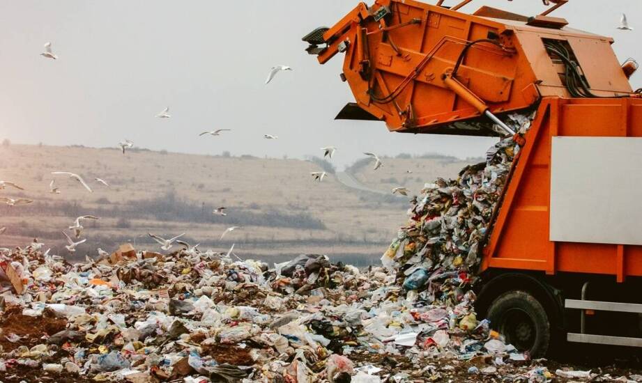 Jak przebiega odbiór nieczystości i na co zwrócić uwagę przy wyborze usługi