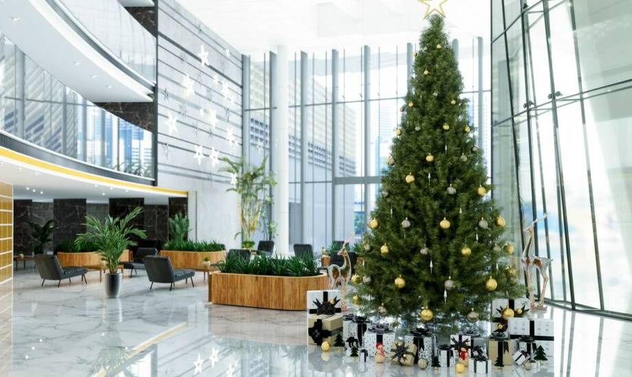 Wynajem choinek – ekologiczna alternatywa dla tradycyjnego drzewka