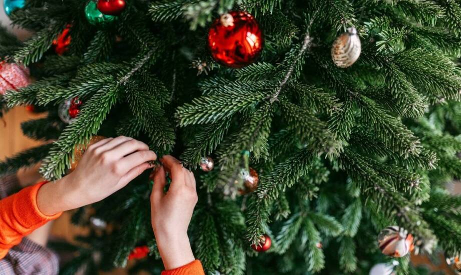 Najpiękniejsze drzewka bożonarodzeniowe – inspiracje i ciekawostki świąteczne