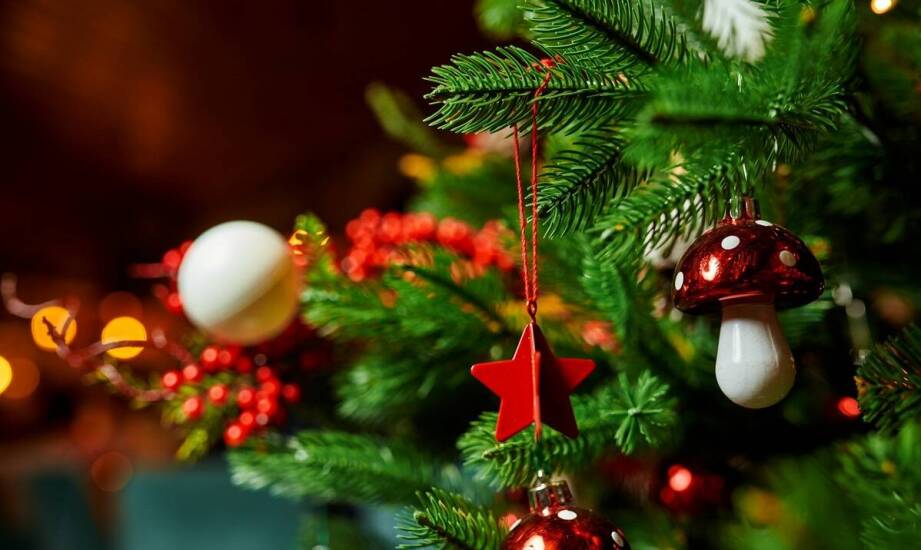 Historia drzewek świątecznych – od dawnych tradycji po współczesność