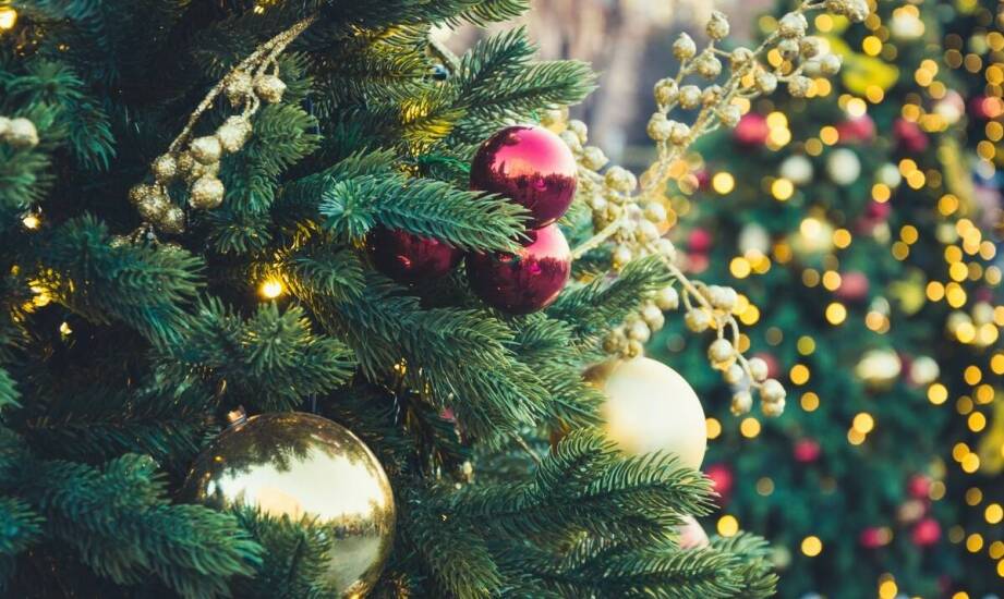 Choinka na pniu udekorowana – pomysły i inspiracje na efektowny wystrój