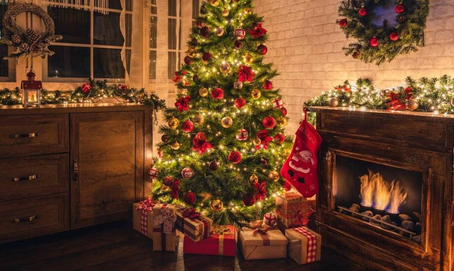 Jak zamówić żywą choinkę z dostawą i przygotować ją do świąt
