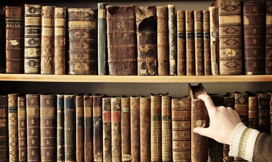 Zakres obowiązków księgowej oraz rola księgowości w prowadzeniu firmy