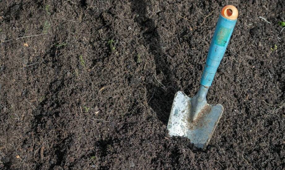 Roboty ziemne – etapy prac, zastosowania i najczęstsze wyzwania branży