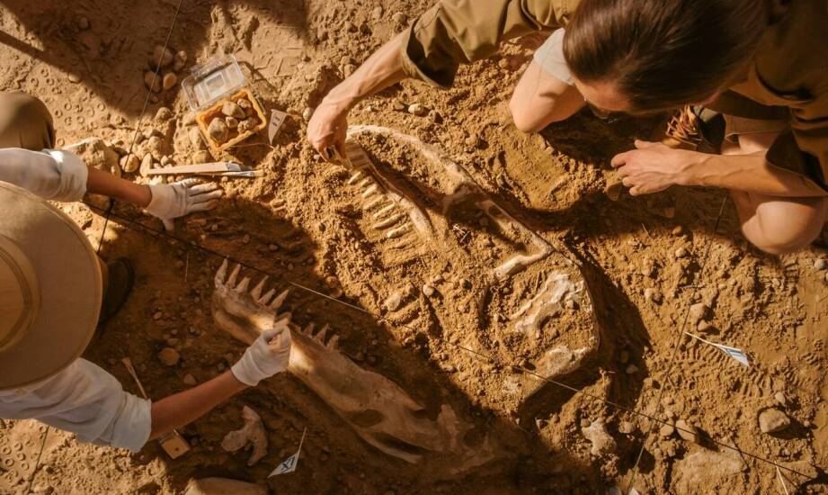 Ekshumacja oraz organizacja pochówku – najważniejsze informacje i zasady