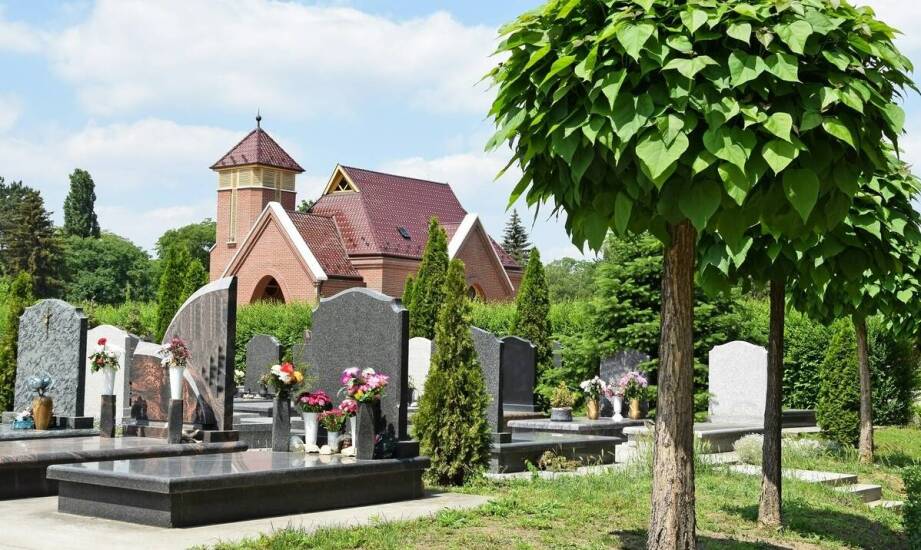 Jak przebiega organizacja pochówku oraz jakie usługi są dostępne