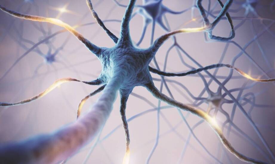 Leczenie nerwic – najważniejsze informacje, które warto znać