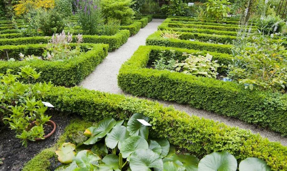 Inspiracje na aranżacje ogrodów – pomysły na zachwycającą przestrzeń zieloną