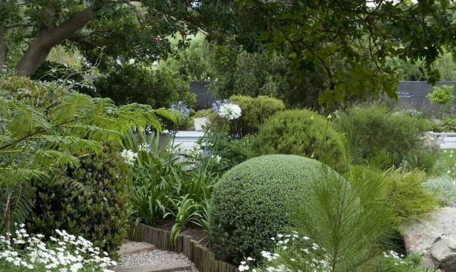 Pomysły na ciekawe rośliny do ogrodu – co warto posadzić na rabatach