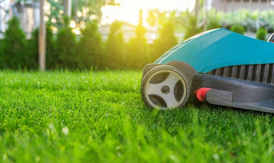 Wertykulacja trawnika – kiedy i jak poprawić kondycję zielonej murawy