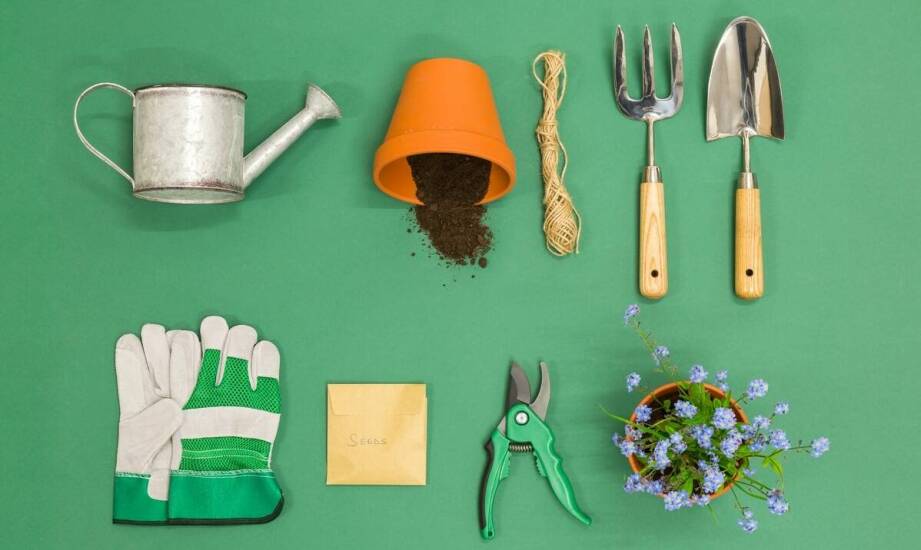 Jakie narzędzia są nizbędne przy pielęgnacji ogrodów?
