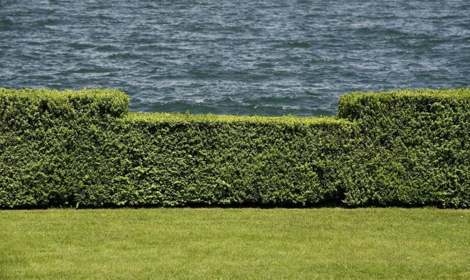 Ogrodzenia kute – styl, trwałość i możliwości aranżacji przestrzeni