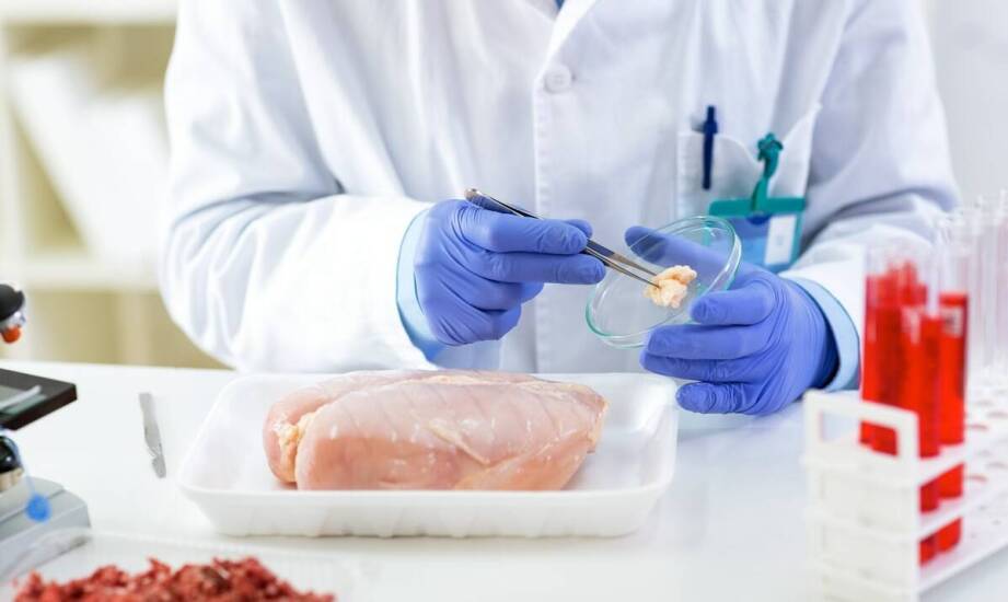 Jak ustalane są alimenty i jakie prawa przysługują stronom w sprawie