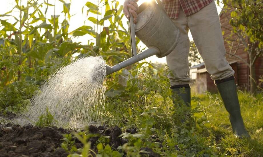 Części zamienne Trioliet – jak zadbać o niezawodność maszyn rolniczych