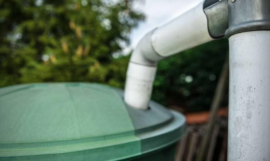 Dlaczego eko-szamba są tak popularne?