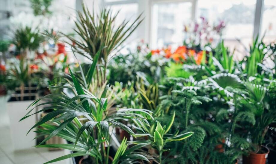 Przydomowe oczyszczalnie ścieków – rodzaje, zalety i najczęstsze pytania