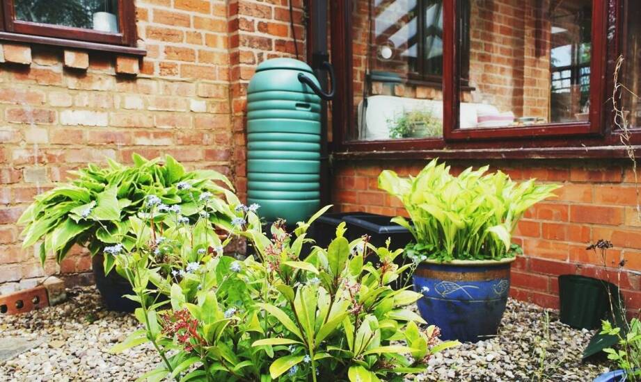 Oszczędność wody deszczowej – zastosowania i korzyści z magazynowania opadu