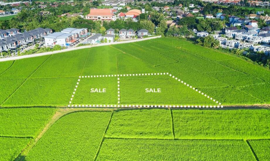 Najważniejsze aspekty wyboru działki – co sprawdzić przed zakupem