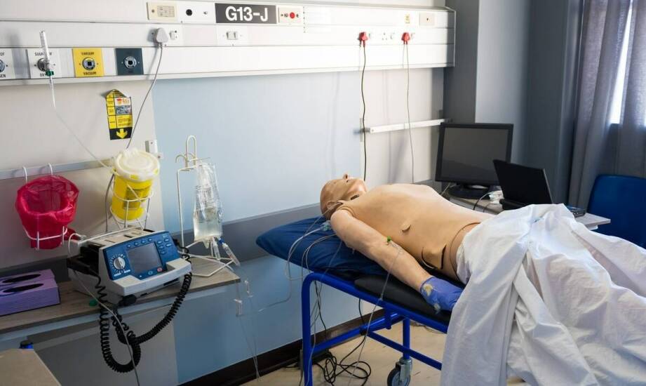 BRT stymulator homeostazy – zastosowanie i wpływ na organizm człowieka