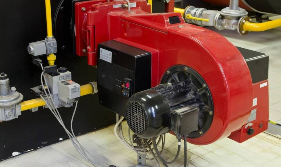 Generator plazmowy w walce z boreliozą – możliwości zastosowania terapii