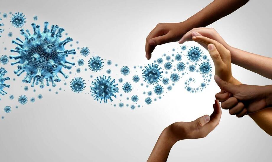 Borelioza – objawy, diagnostyka i aktualne metody leczenia choroby