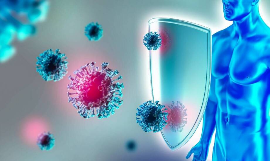 Borelioza – jak rozpoznać objawy, diagnozować i wspierać leczenie organizmu