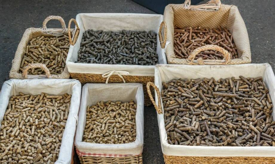 Prądy selektywne – działanie, zastosowanie i efekty terapii bioelektrycznej