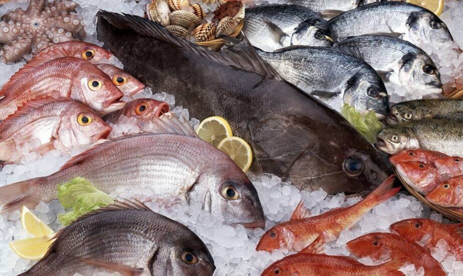 Prądy selektywne – mechanizmy działania i możliwe zastosowania w terapii