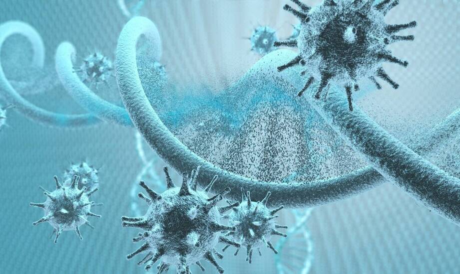 Biorezonans a pasożyty – na czym polega diagnostyka i jakie daje możliwości