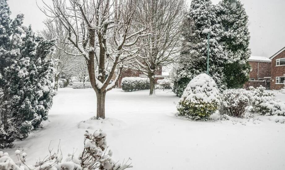 Ogród zimowy w domu – praktyczne zastosowania i możliwości wykorzystania