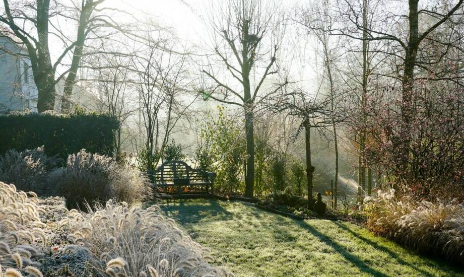 Ogrody zimowe – funkcje, rodzaje konstrukcji i inspiracje na każdą porę roku