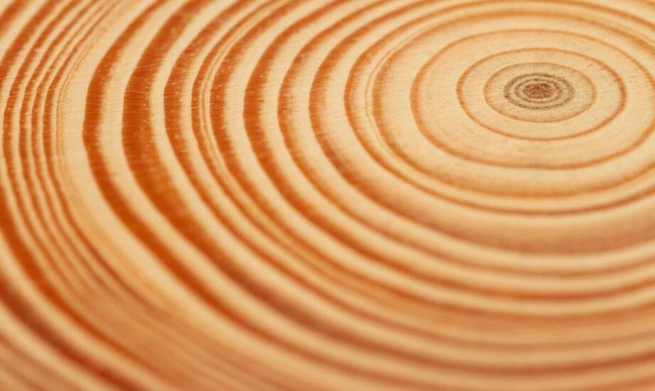 Kantówka klejona sosnowa – zastosowania, trwałość i znaczenie w budownictwie