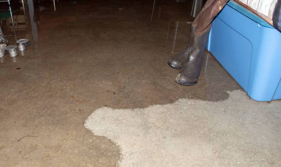 Osuszanie podposadzkowe – kiedy zastosować i jakie daje korzyści