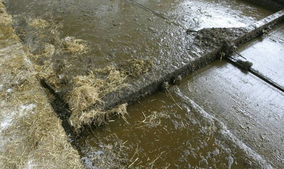 Wilgoć po zalaniu – sprawdzone sposoby na szybkie osuszanie wnętrz