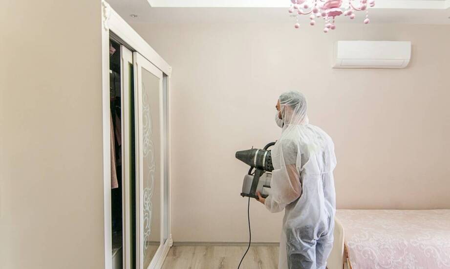 Wilgoć w mieszkaniu po zalaniu – skutki, przyczyny i sposoby eliminacji