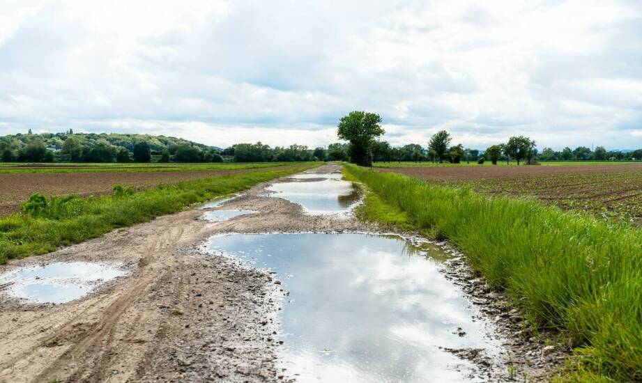 Jak skutecznie usuwać wilgoć po zalaniu i zabezpieczyć dom przed pleśnią