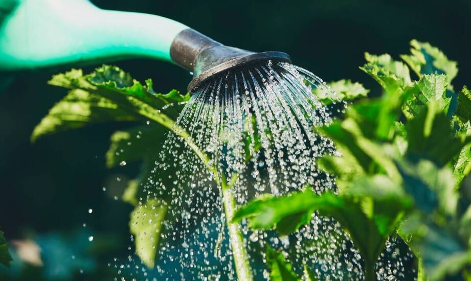 Wilgoć po zalaniu – jak szybko przeprowadzić skuteczne osuszanie pomieszczeń