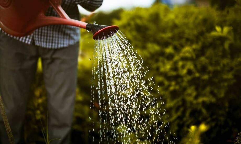 Przyczyny zawilgocenia po zalaniu – jak przebiega proces osuszania budynku