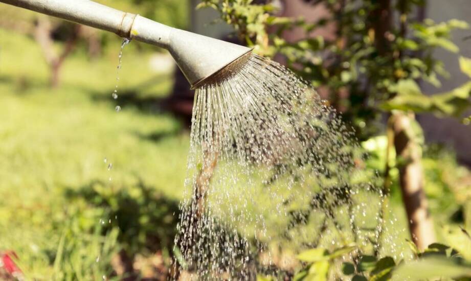 Jak przebiega usuwanie skutków zalania i zabezpieczanie budynku przed wilgocią