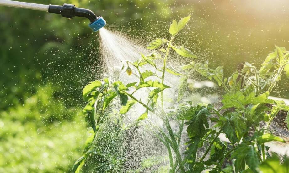 Skutki zalania i sprawdzone sposoby na szybkie osuszanie pomieszczeń