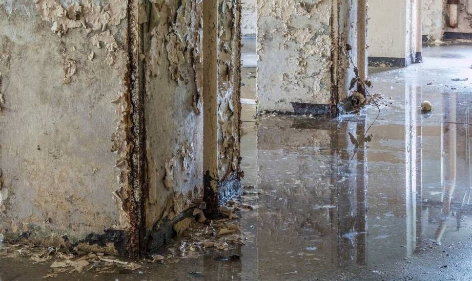 Osuszanie ścian po zalaniu – jak skutecznie usuwać wilgoć i zapobiegać pleśni