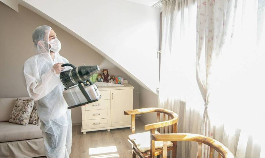 Jak skutecznie ograniczyć wilgoć i przywrócić komfort po zalaniu mieszkania