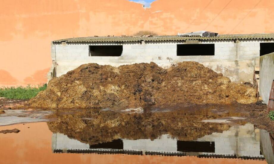 Wilgoć w budynkach po zalaniu – jak zapobiegać poważnym problemom