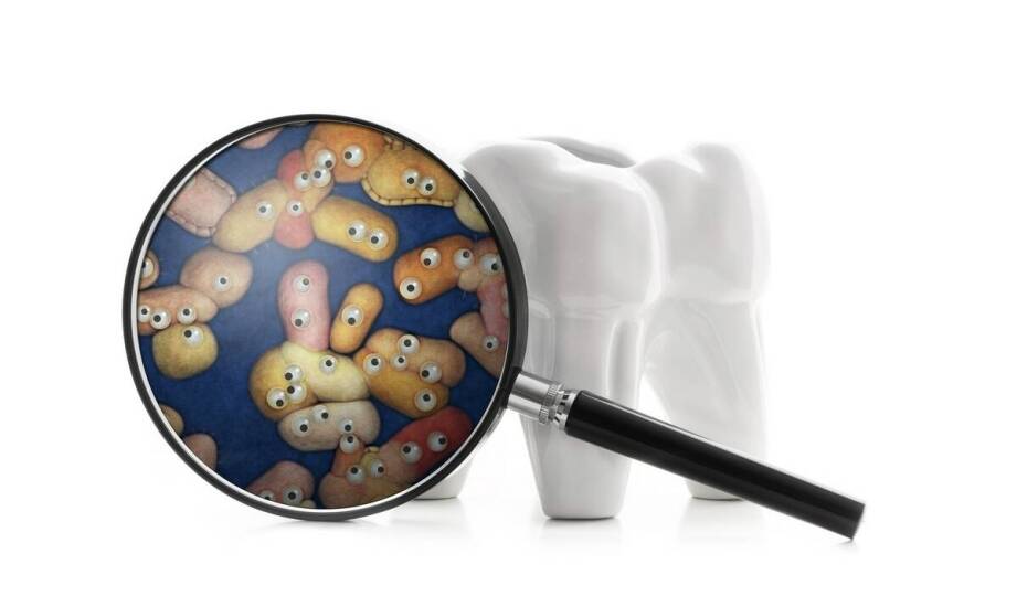 Protetyka stomatologiczna – etapy leczenia i możliwości odbudowy uśmiechu