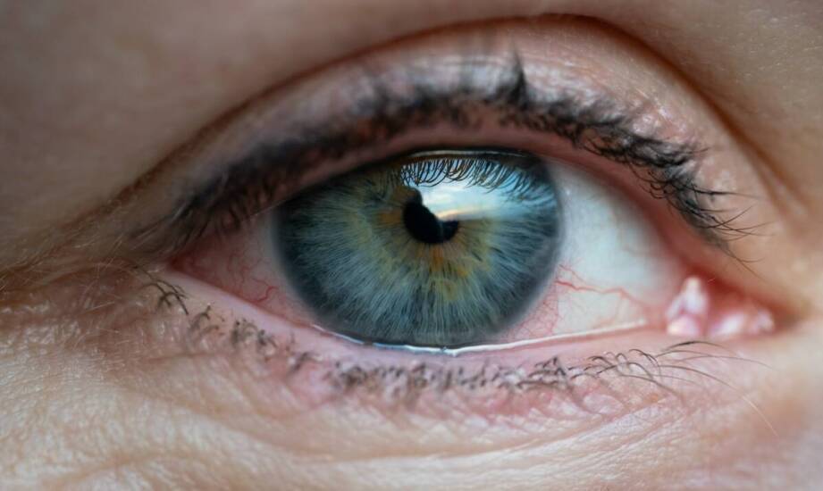 Badanie dna oka – jak wygląda i jakie schorzenia pozwala wykryć