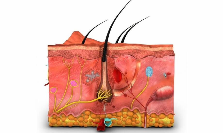 Fakoemulsyfikacja w leczeniu zaćmy – etapy zabiegu i możliwe korzyści